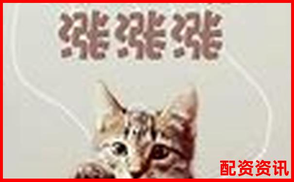 股票配資投資是否安全風險與收益如何權衡-杠桿倍數(shù)說明什么現(xiàn)象