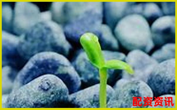 股票配資利息合理區間分析及市場行情參考-股票翻一倍掙多少錢合適
