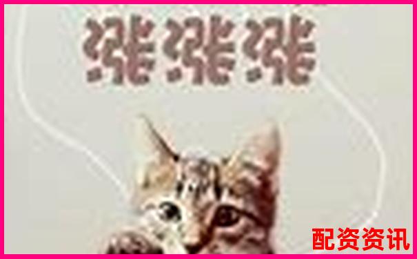線上股票配資開戶指南新手必看操作流程詳解